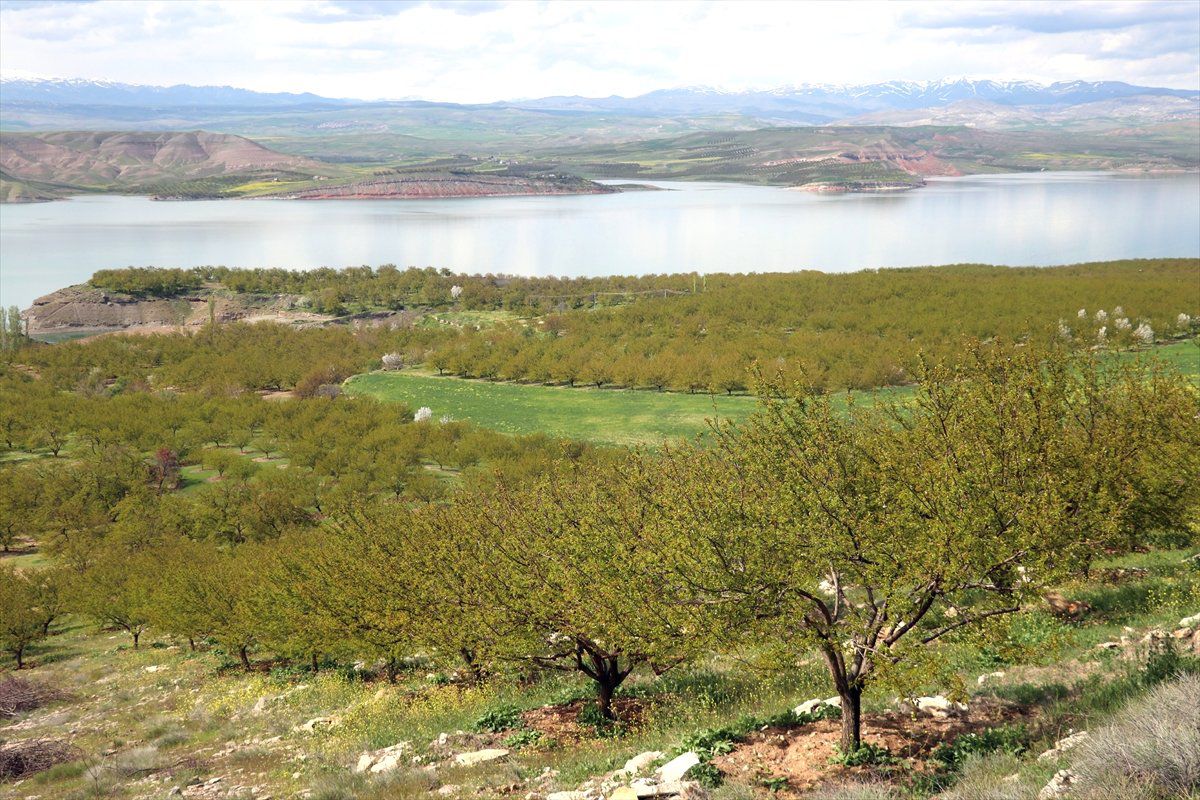Elazığ\'da Kar Yağışı