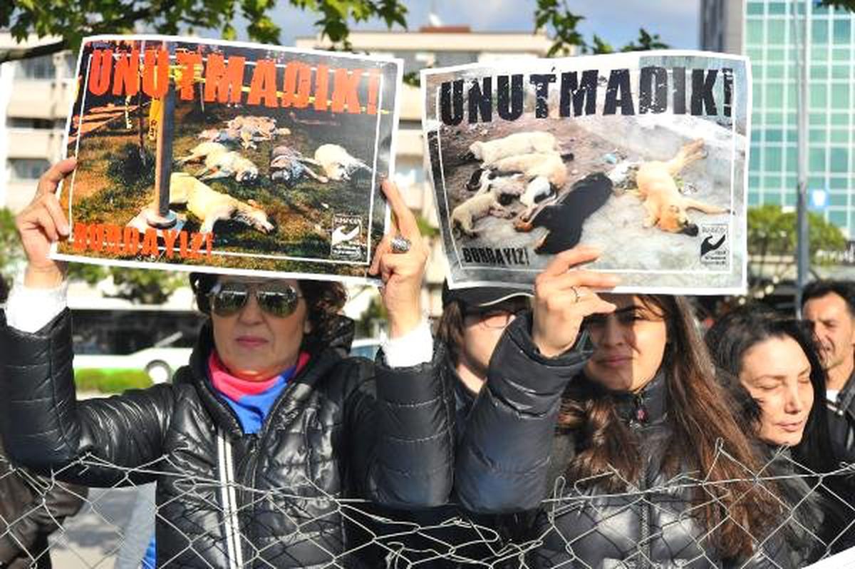 Şiddet Gören Sokak Hayvanları İçin Yürüdüler