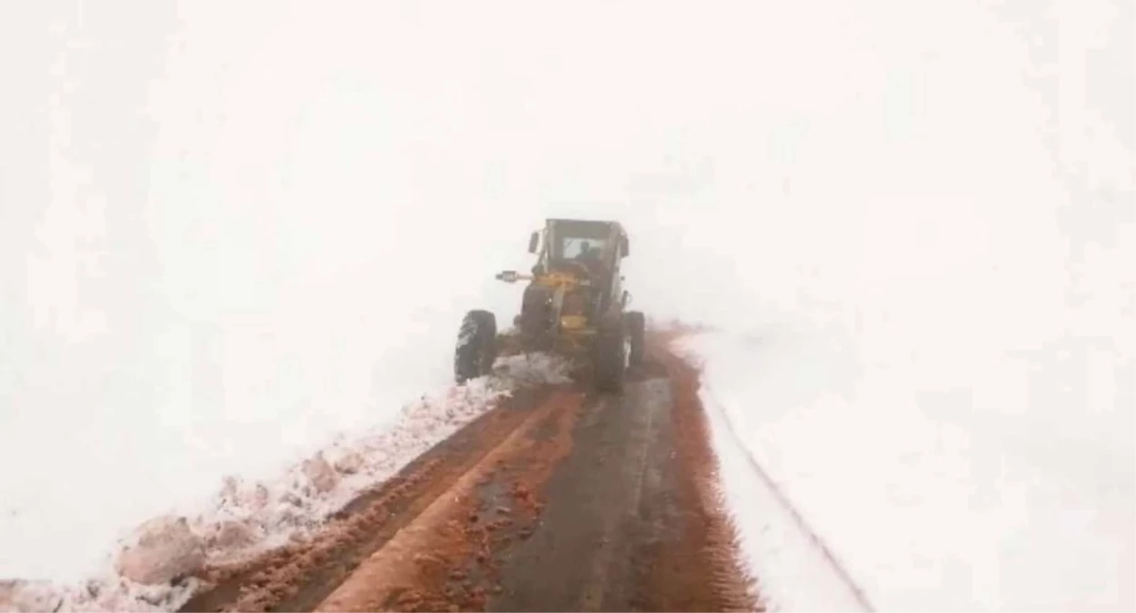 Siirt\'te 14 Köy Yolu Kar Nedeniyle Ulaşıma Kapandı