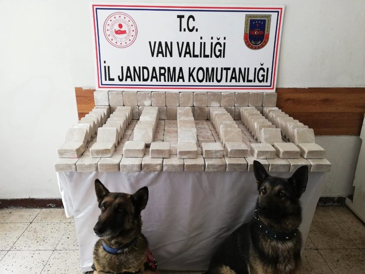 101 Kilo Eroin, Hassas Burunlu Alem ve Barut\'a Takıldı