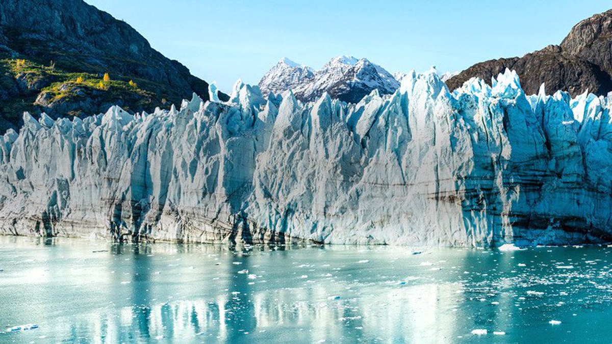 Alaska\'da Can Kayıplarına Neden Olan Yüksek Sıcaklıklar Yaşanıyor