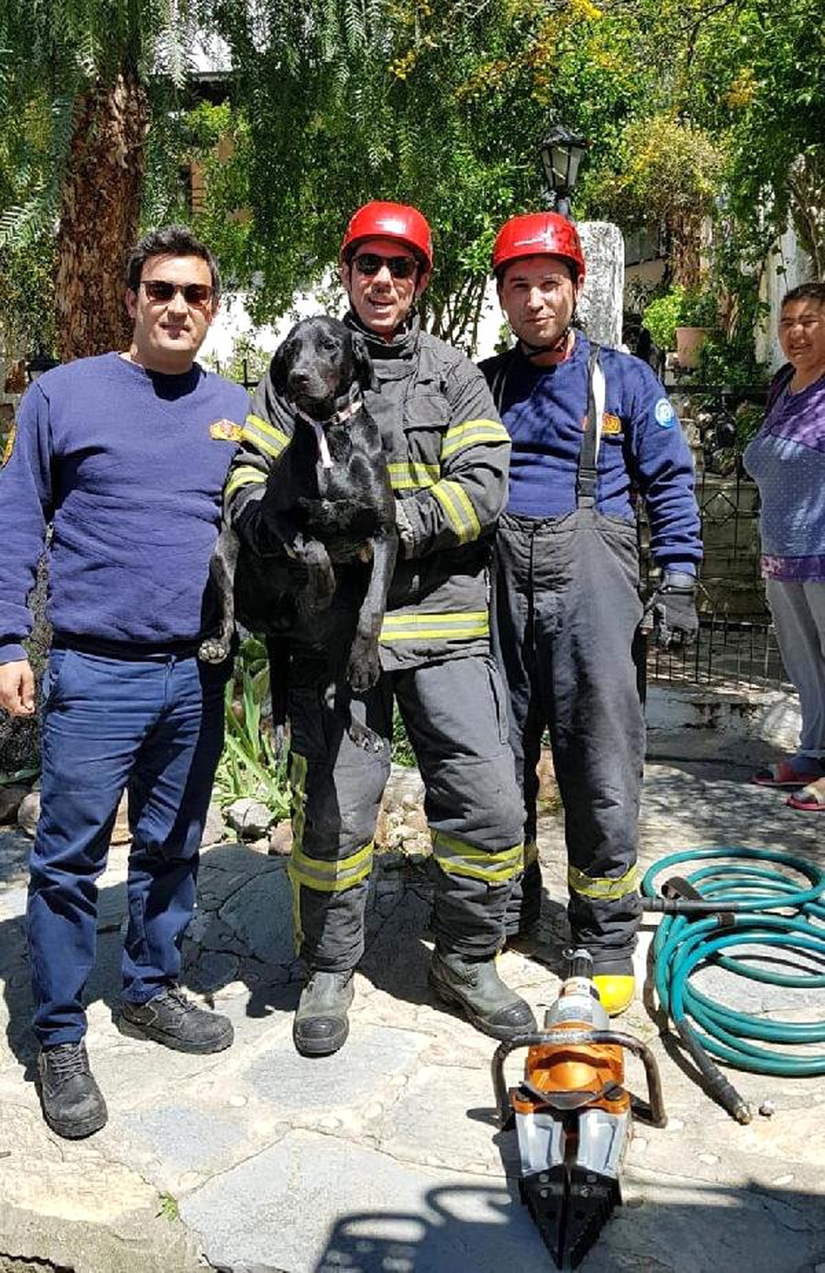 Bahçe Kapısına Sıkışan Köpek Kurtarıldı