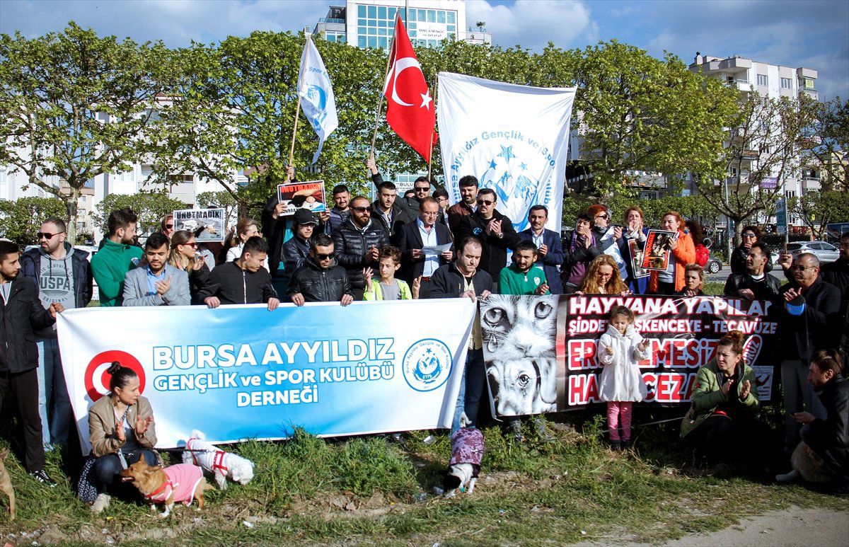 Bursa\'da Hayvanseverler Sokak Hayvanları İçin Bir Araya Geldi