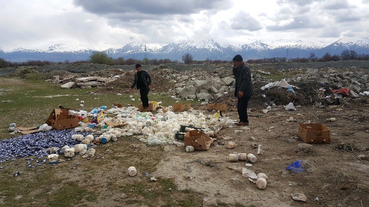 Çevreye Gelişi Güzel Atılan Bozulmuş Peynirler, Koyunları Telef Etti