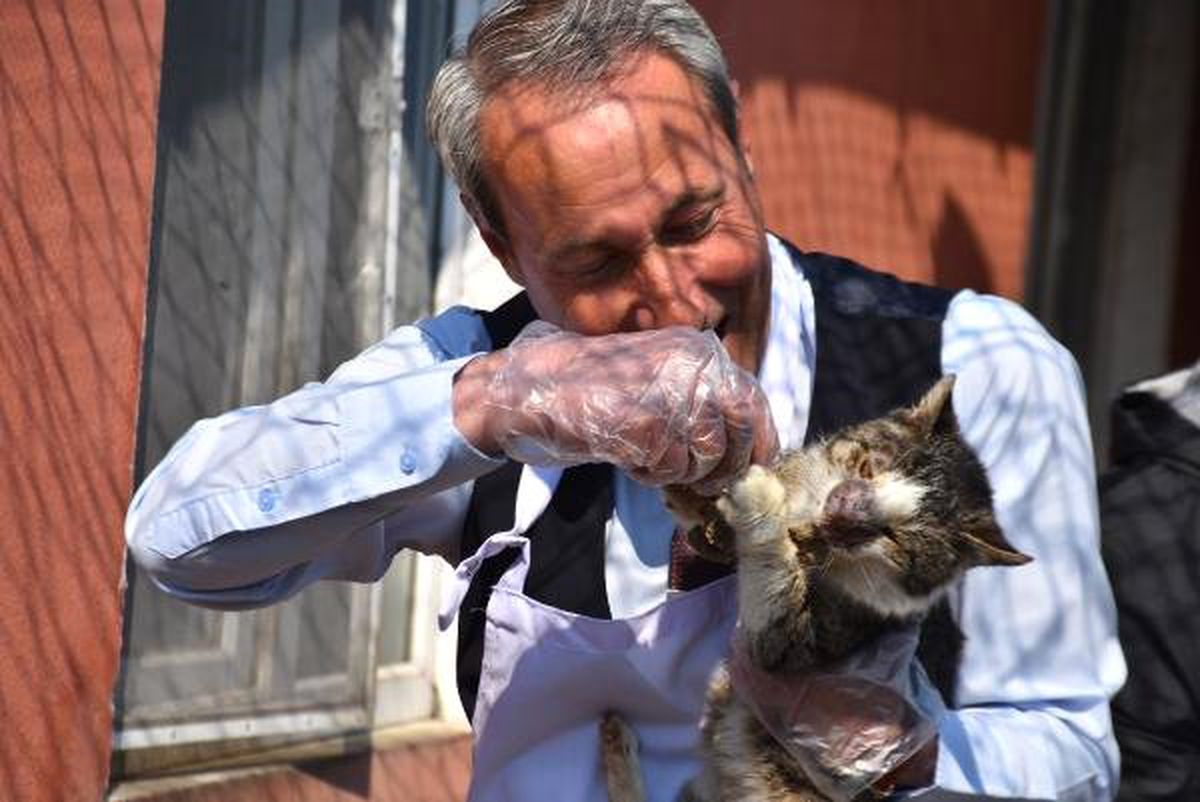Edirne\'de Kedilere 500 Kilo Ciğer Dağıtıldı