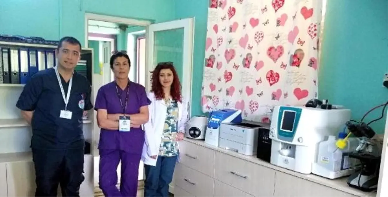 Hayvan Barınağı Tam Donanımlı Kliniğe Kavuştu