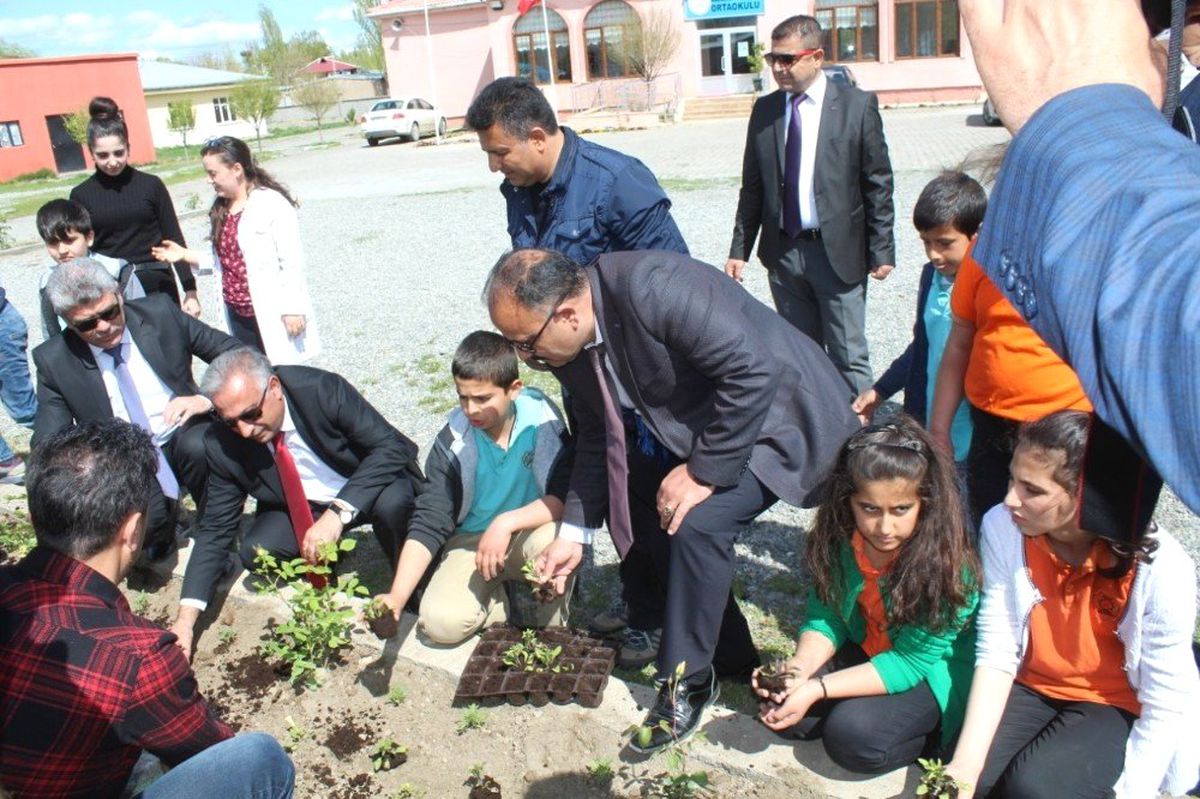 Iğdır Çiçeklerle Güzelleşiyor