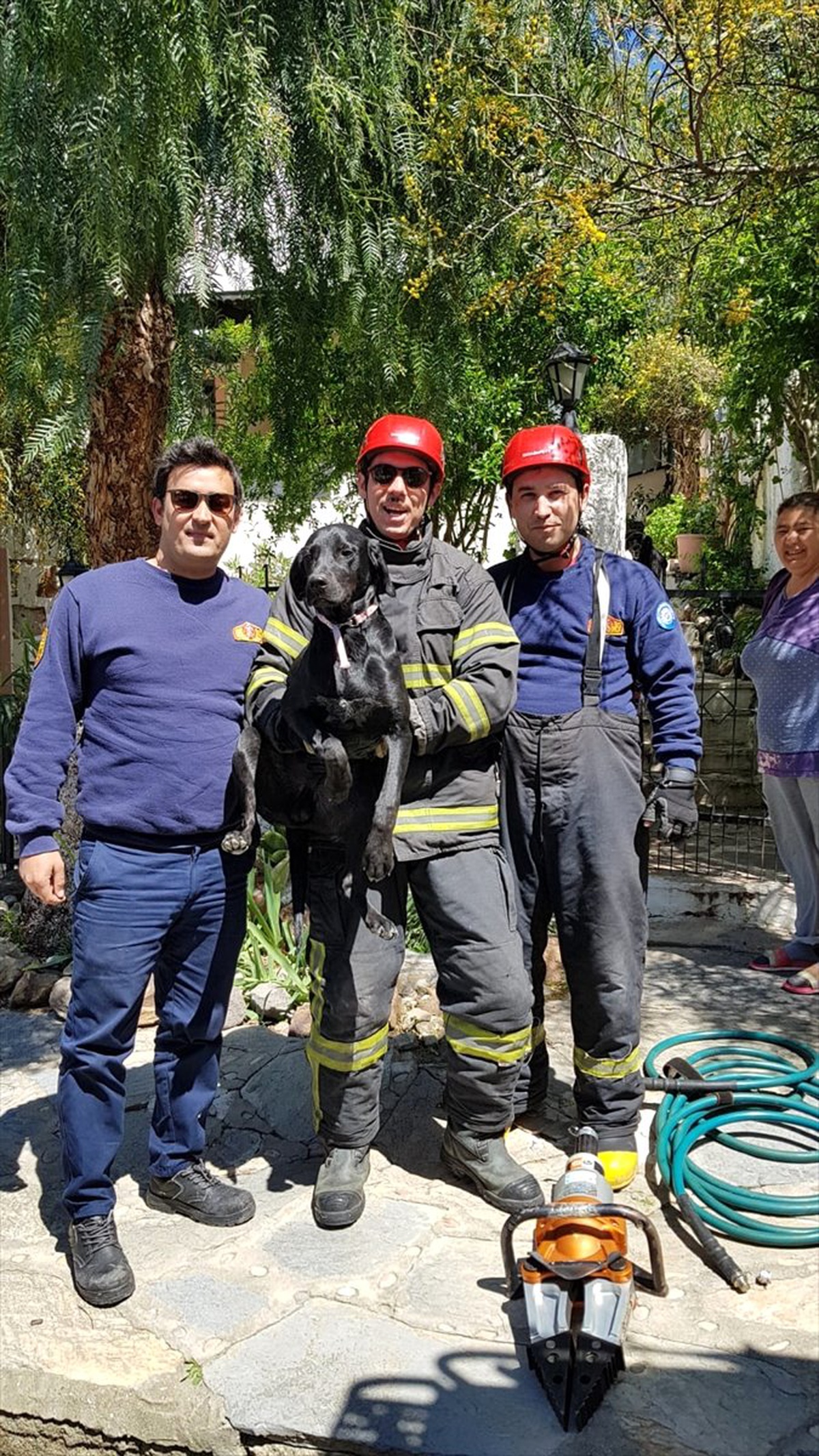 Muğla\'da Bahçe Kapısına Sıkışan Köpek Kurtarıldı