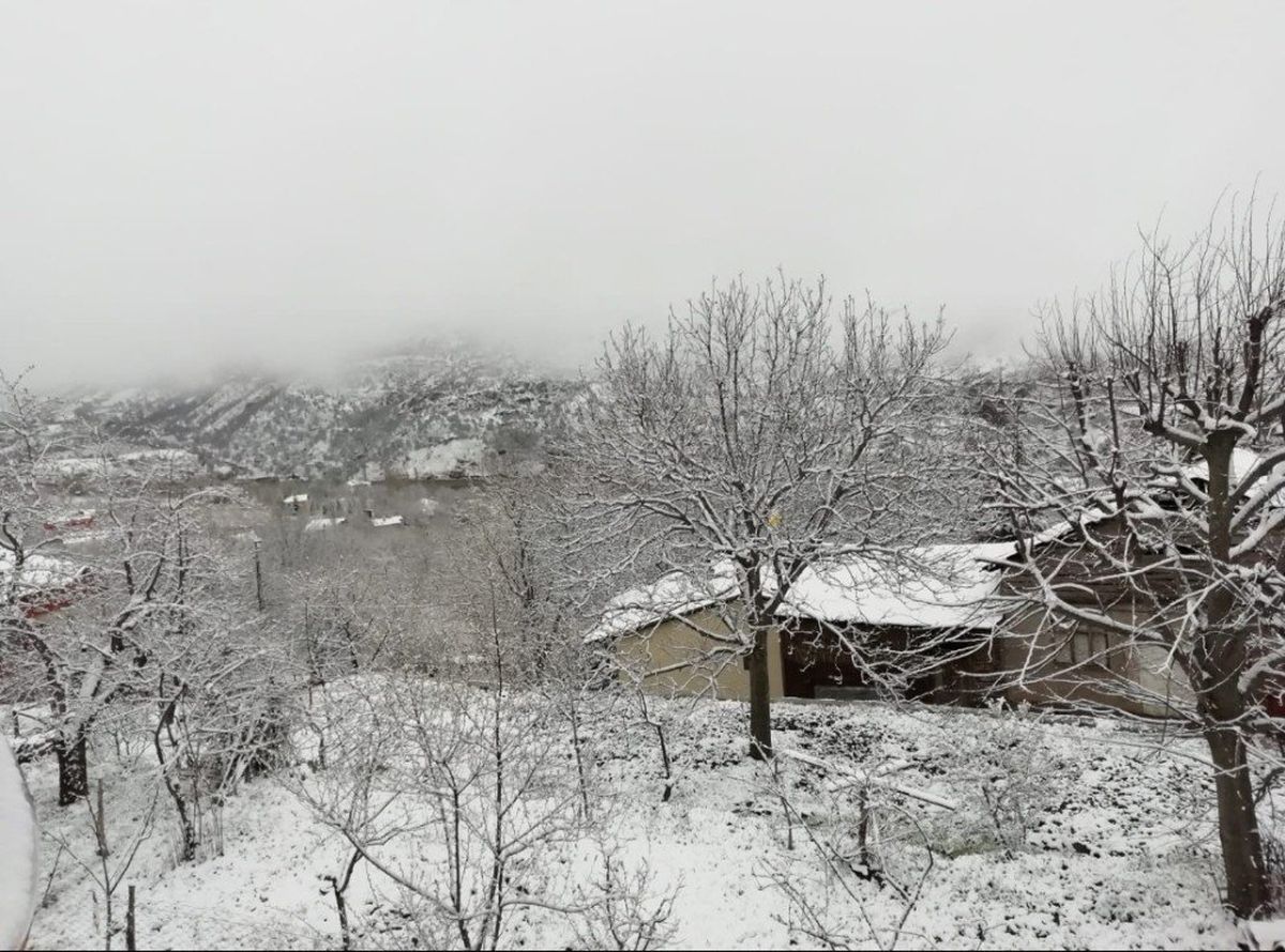 Nisan Karı Üreticiyi Endişelendirdi