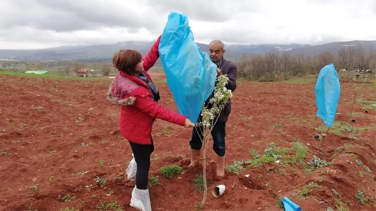 Zirai Dona Karşı Naylonlu Önlem