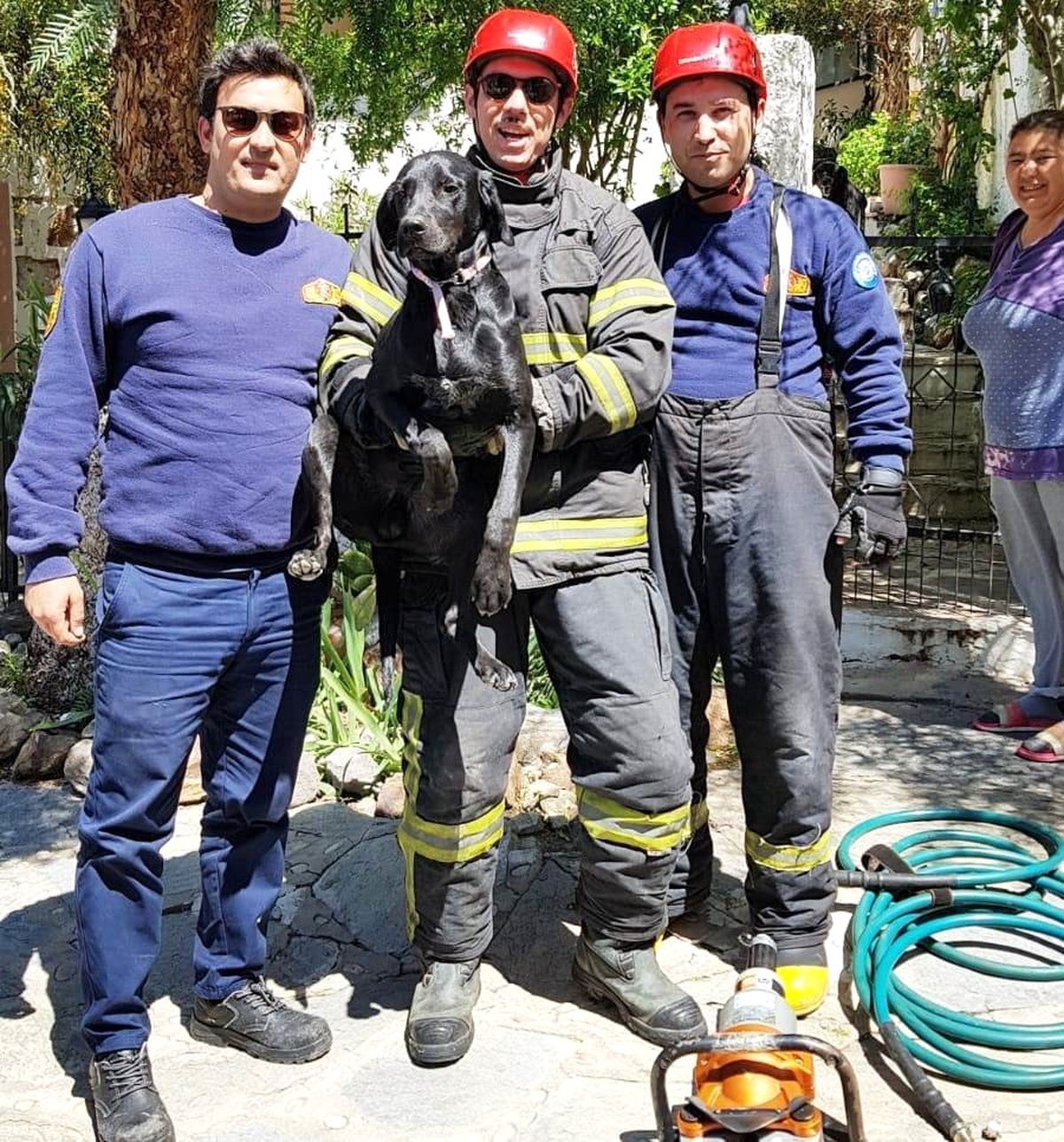 Bahçe Kapısına Sıkışan Zeytin\'i İtfaiyeciler Kurtardı