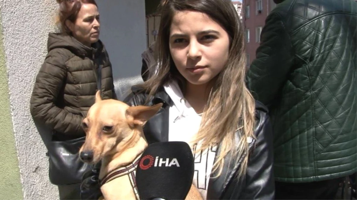 Kağıthane\'deki Evinden Köpeğiyle 10 Dakika Önce Çıkan Genç Kız O Anları Anlattı