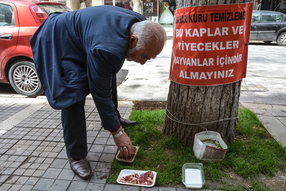 Sokak Hayvanlarına Evlat Şefkatiyle Bakıyor