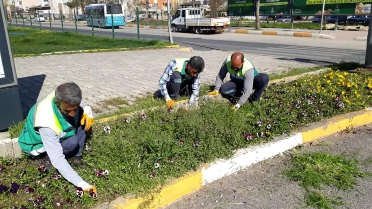 Adıyaman Belediyesi\'nden Yabani Otlarla Mücadele