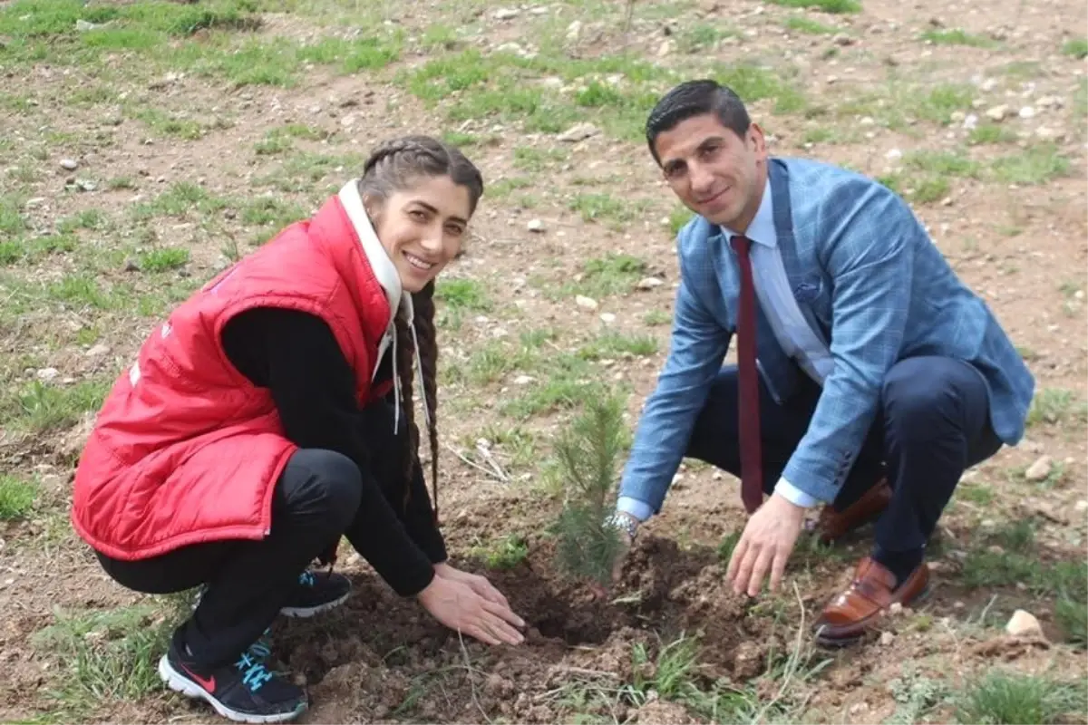 Genç Gönüllüler Fidanları Toprakla Buluşturdu