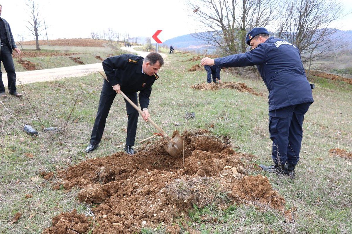 Jandarma Ekiplerinden Fidan Dikimi