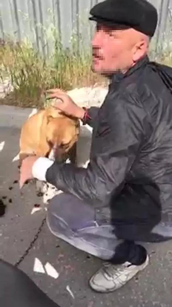 Köpeği Motosiklete Bağlayıp Sürükleyen Sürücüye Tepki Son Dakika
