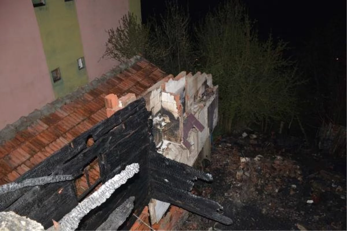 Sinop\'ta 3 Kişinin Öldüğü Belirtilen Yangında, 2 Kişinin Cesedi Kayıp- Yeniden