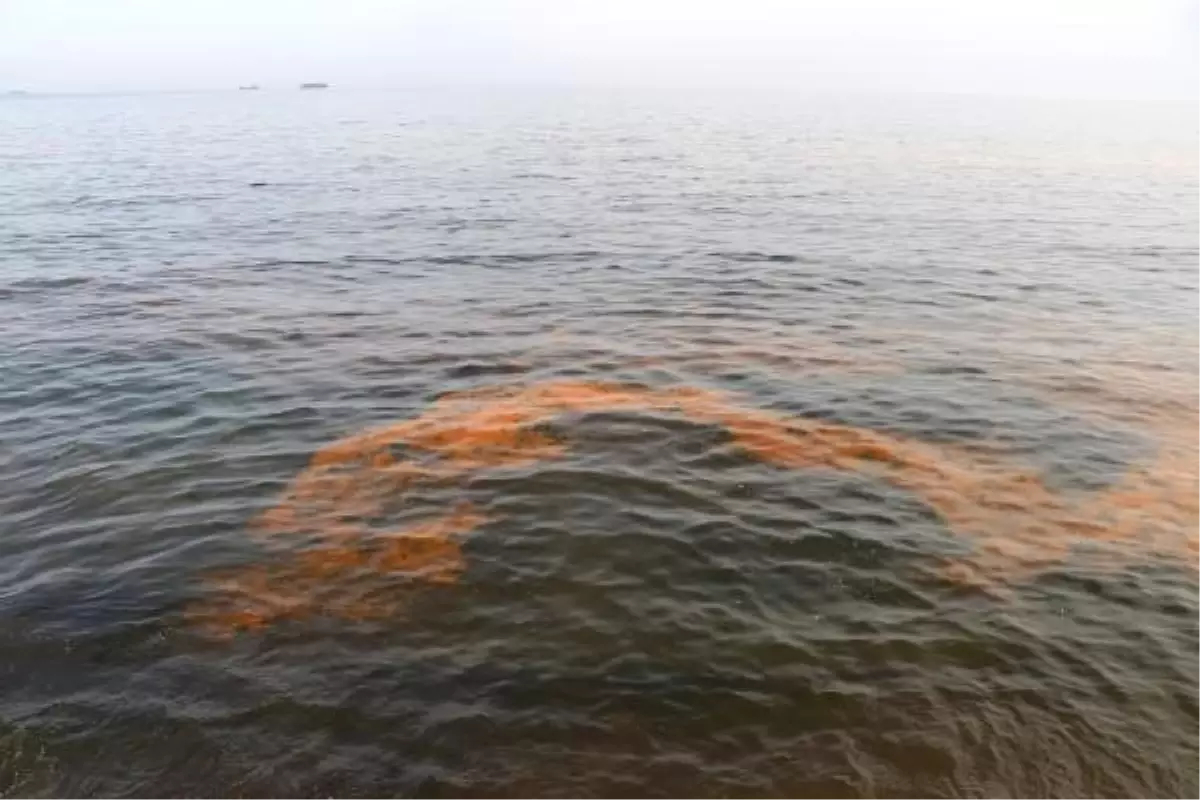 Tekirdağ\'da Deniz Turuncuya Büründü