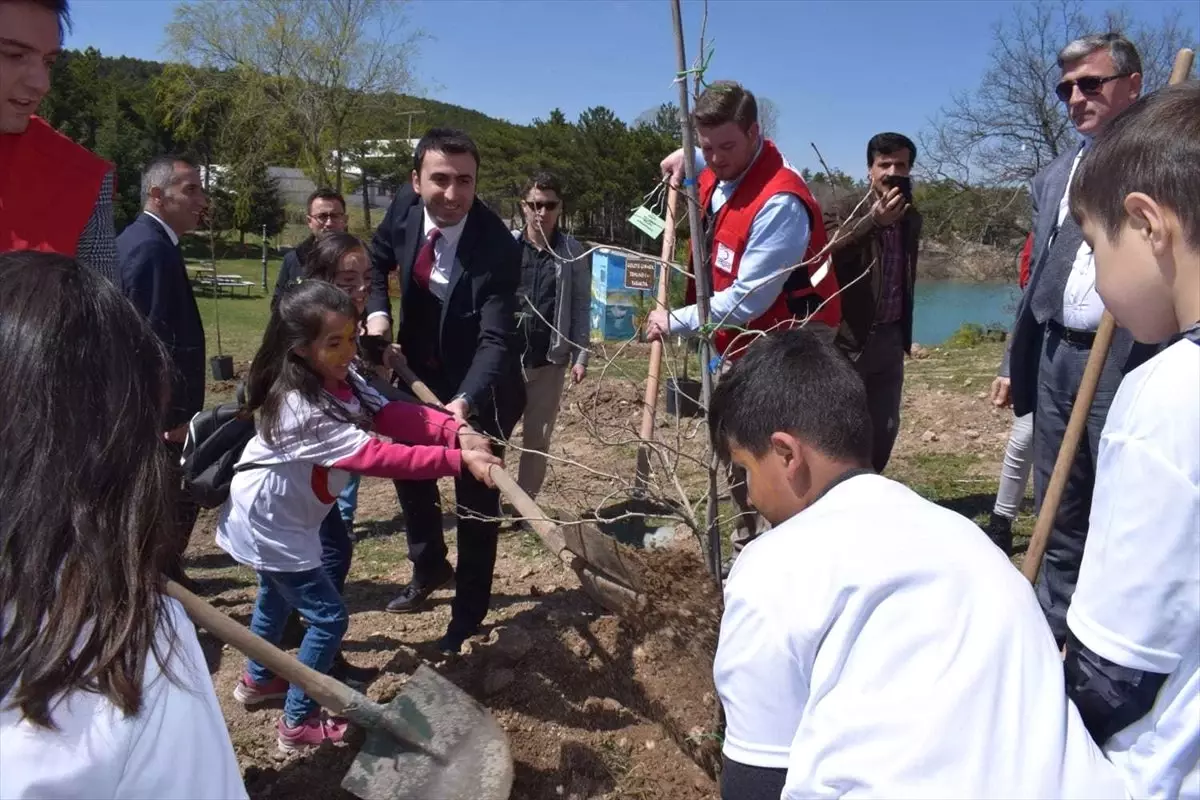 Yabancı Öğrenciler Şehitler Anısına Fidan Dikti