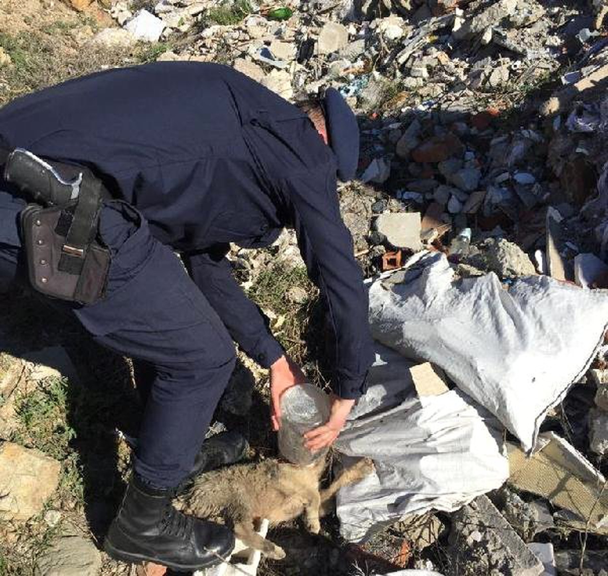Başı Kavanoza Sıkışan Yavru Köpeği Jandarma Kurtardı