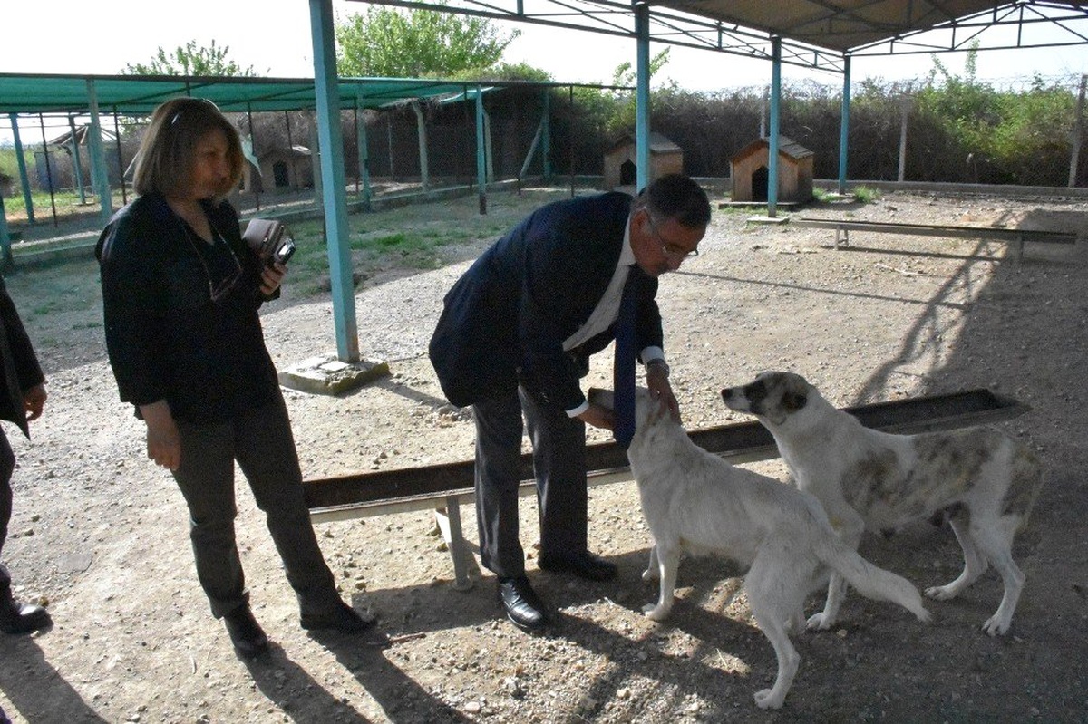 Bozdoğan: "Bu Şehrin Hayvanları Sahipsiz Kalmayacak"