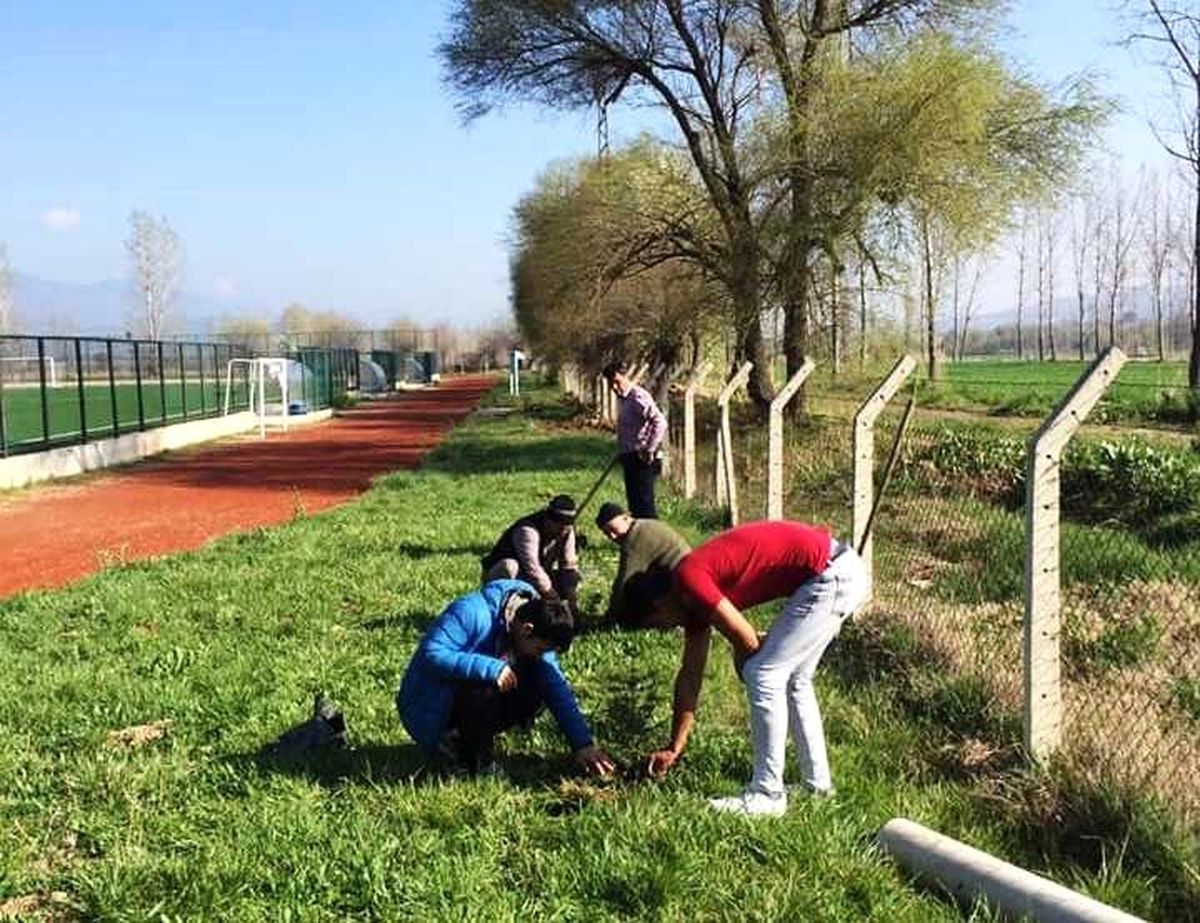 Hisarcık İlçe Stadı Çevresi Ağaçlandırıldı
