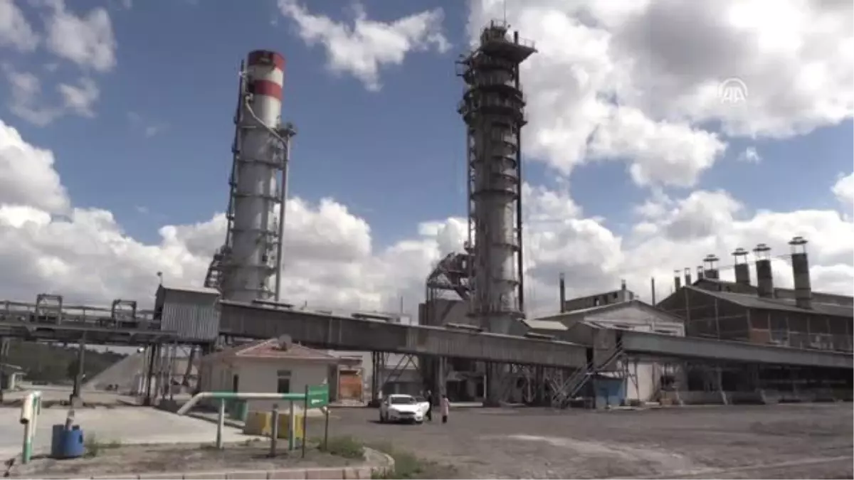 Kayseri Şeker Fabrikasının Doğrudan Satış Noktasına Yoğun İlgi