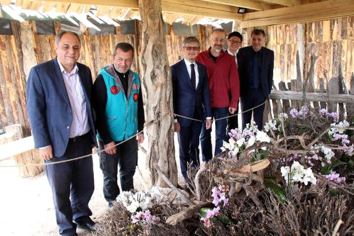 Lisinia\'ya \'Tayvan Bahçesi\' Kuruldu