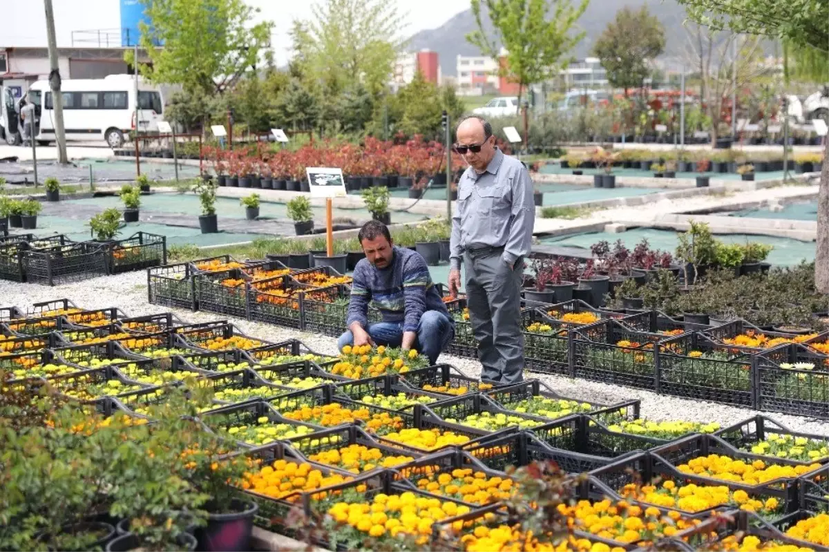 Menteşe Belediyesi\'nin Çiçek Bahçesi Rengarenk