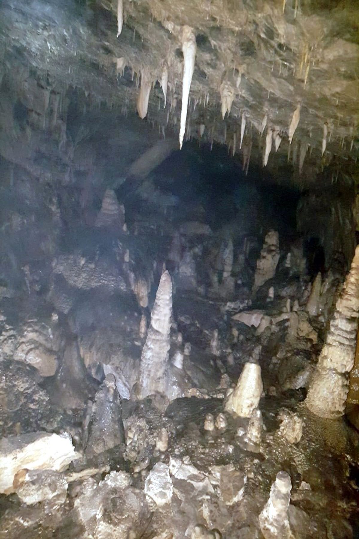 Tunceli\'de Terör Operasyonu