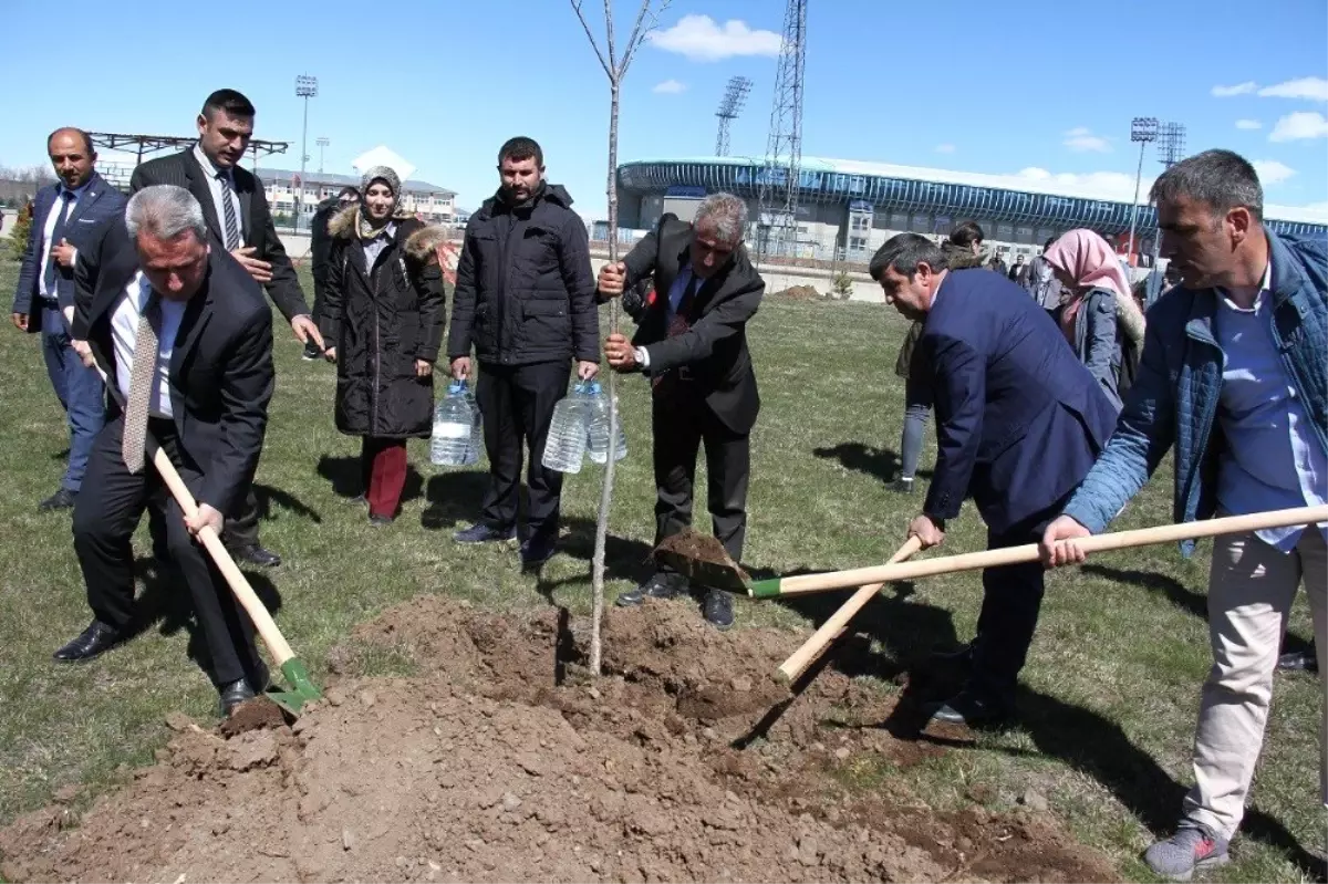 Uçurtmalar Eşliğinde Fidan Dikimi