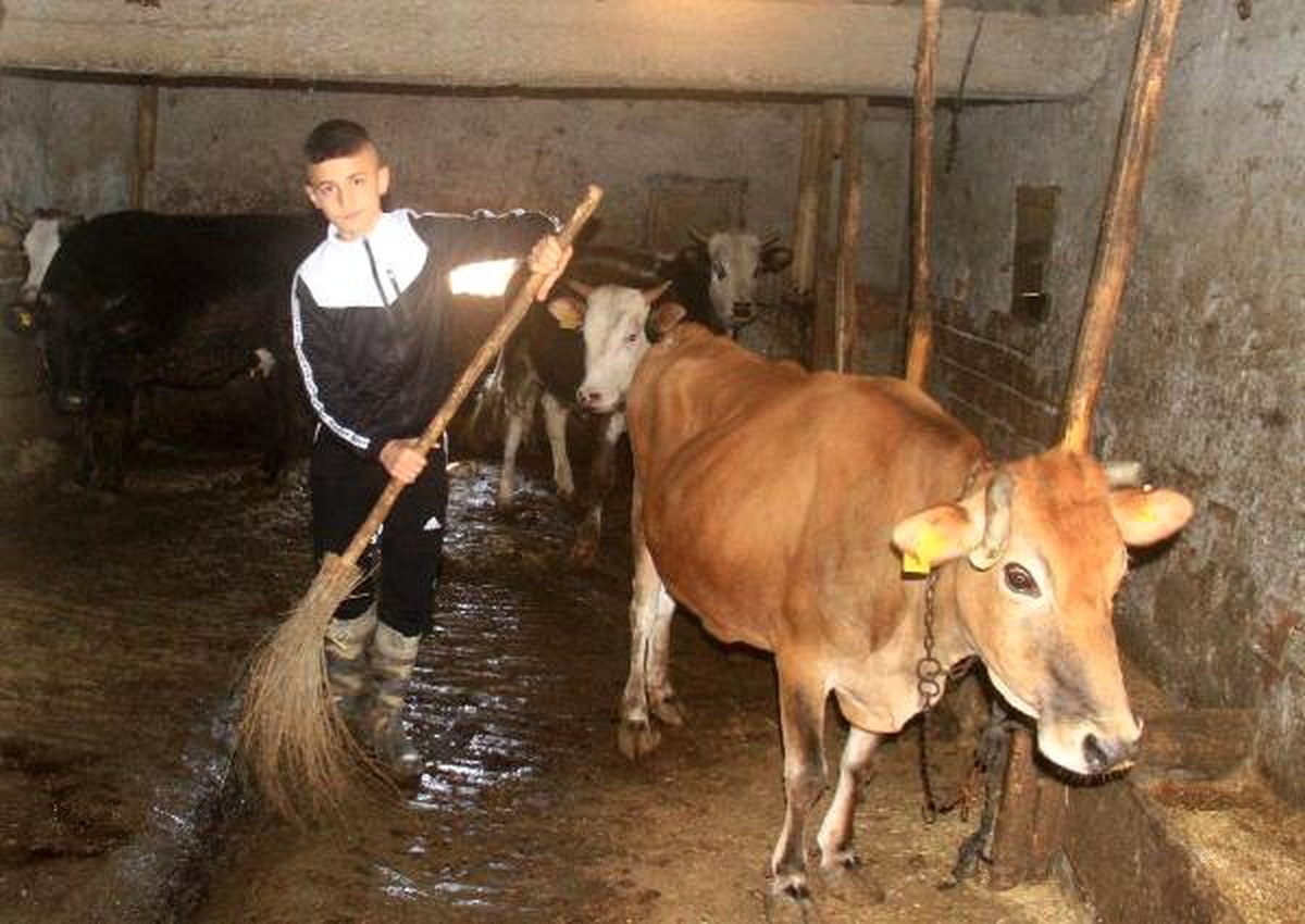 Ahırda Gizlice Boks Antrenmanı Yaptı, Gümüş Madalyaya Uzandı