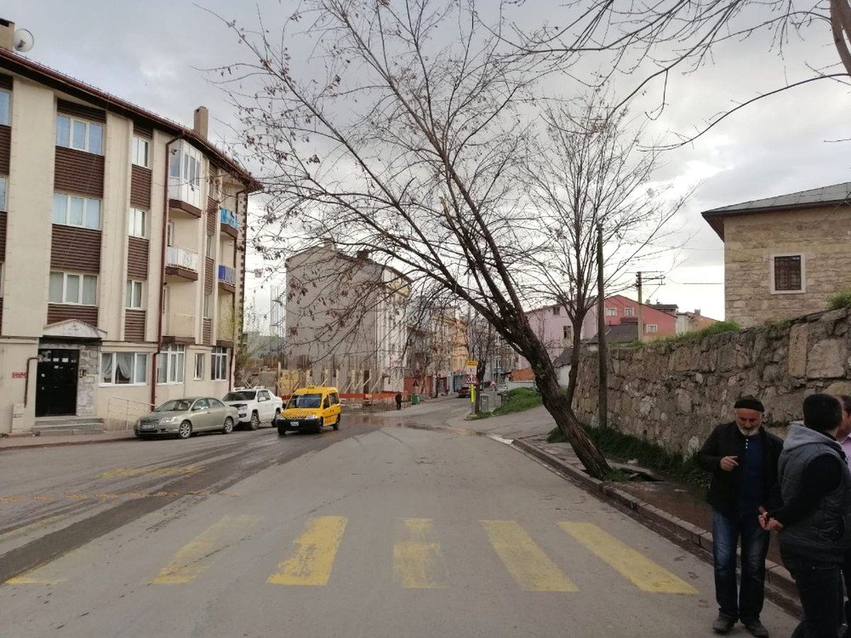 Devrilme Tehlikesi Bulunan Ağaç Belediye Ekiplerince Kesildi