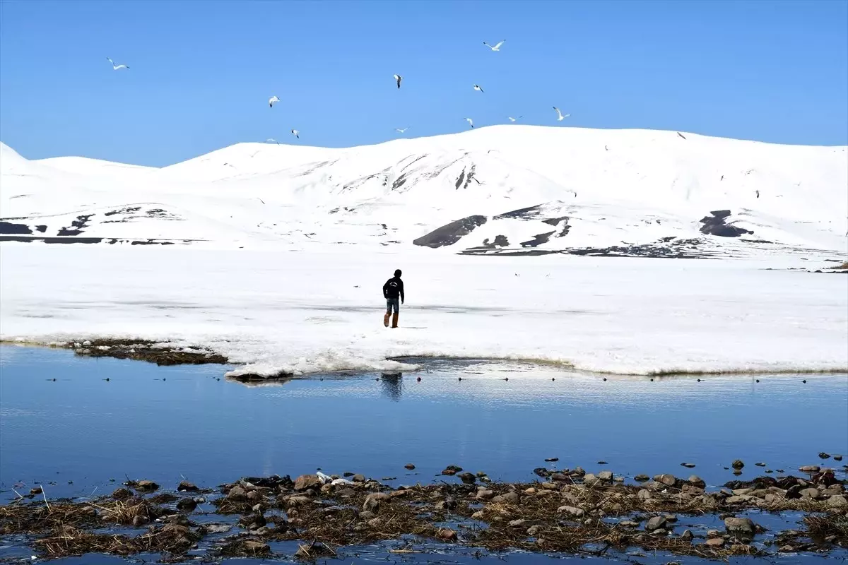 Doğu Anadolu\'nun Saklı Cennetinde "Beyaz" Güzellik