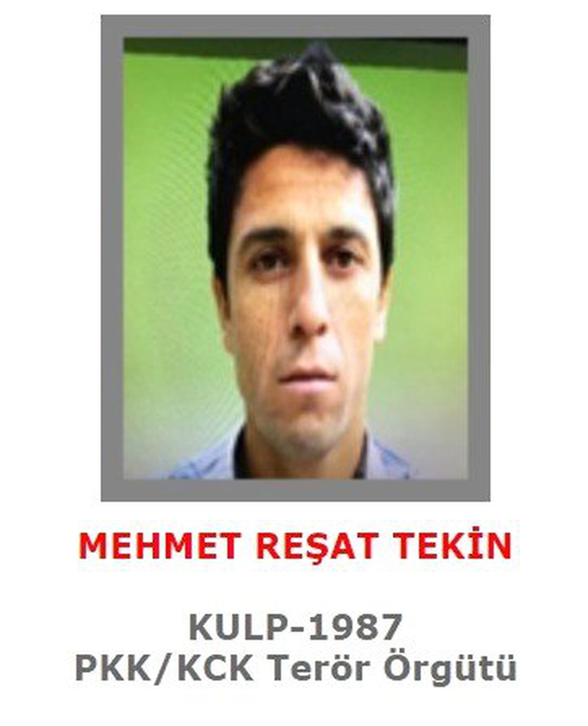 İçişleri Bakanlığı Açıkladı: "Gri Listene Aranan Teröristler Etkisiz Hale Getirildi"