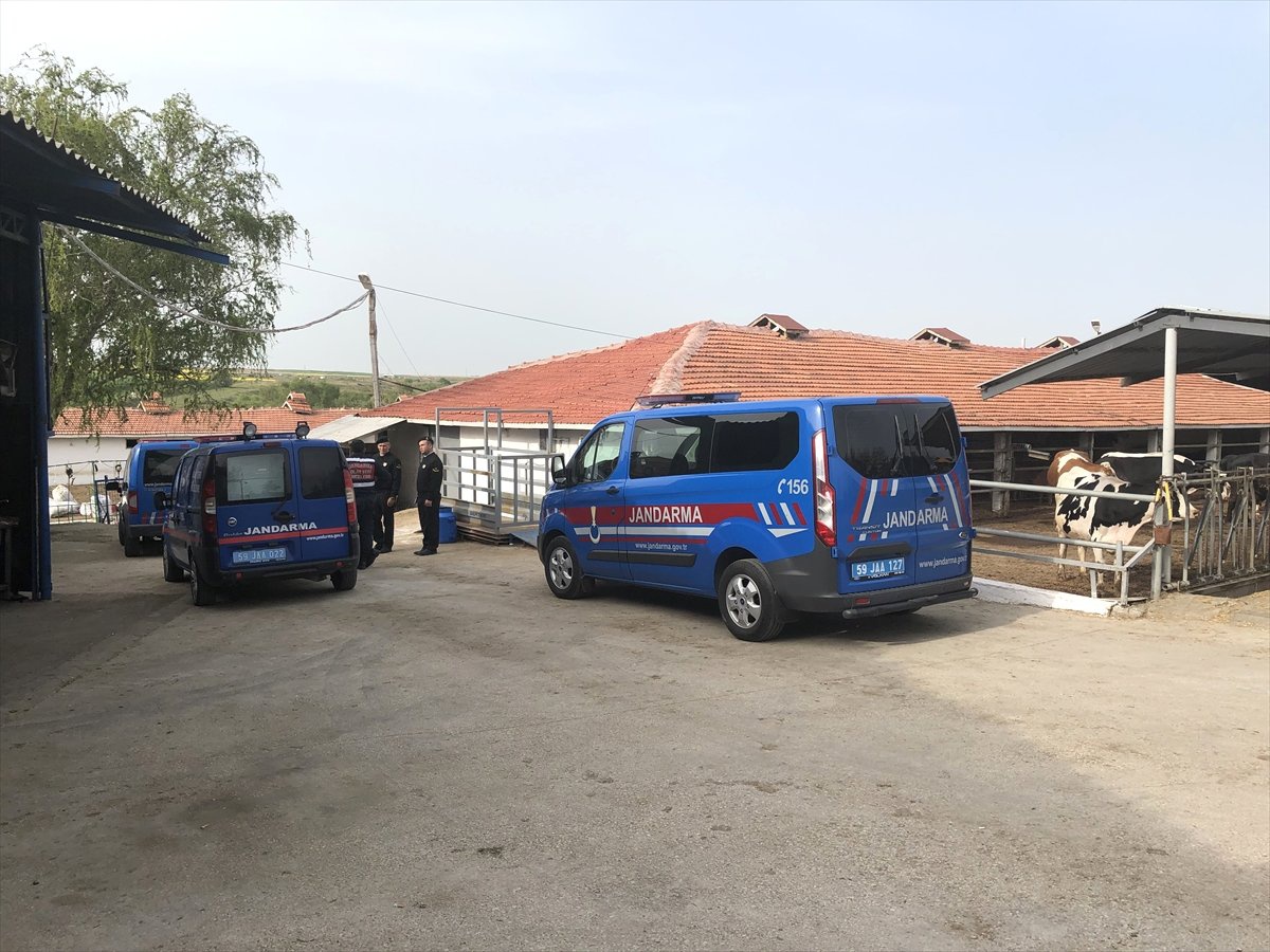 Koyun Kırkan 11 İşçi Akıma Kapıldı