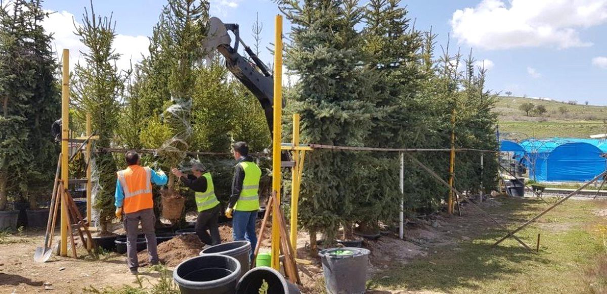Nevşehir\'deki 110 Bin Kişi İçin 110 Bin Ağaç Dikilecek