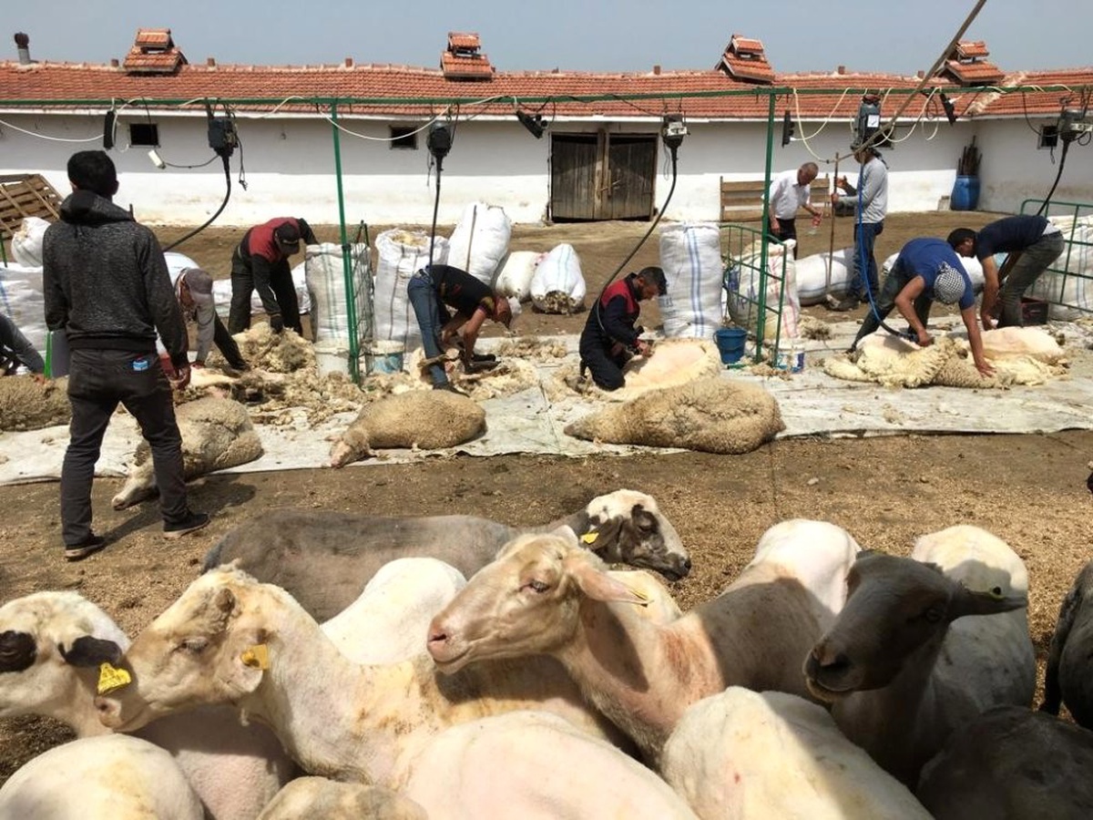 Öğrencilerin Gözleri Önünde Akıma Kapıldılar: 1 Ölü, 1 Yaralı