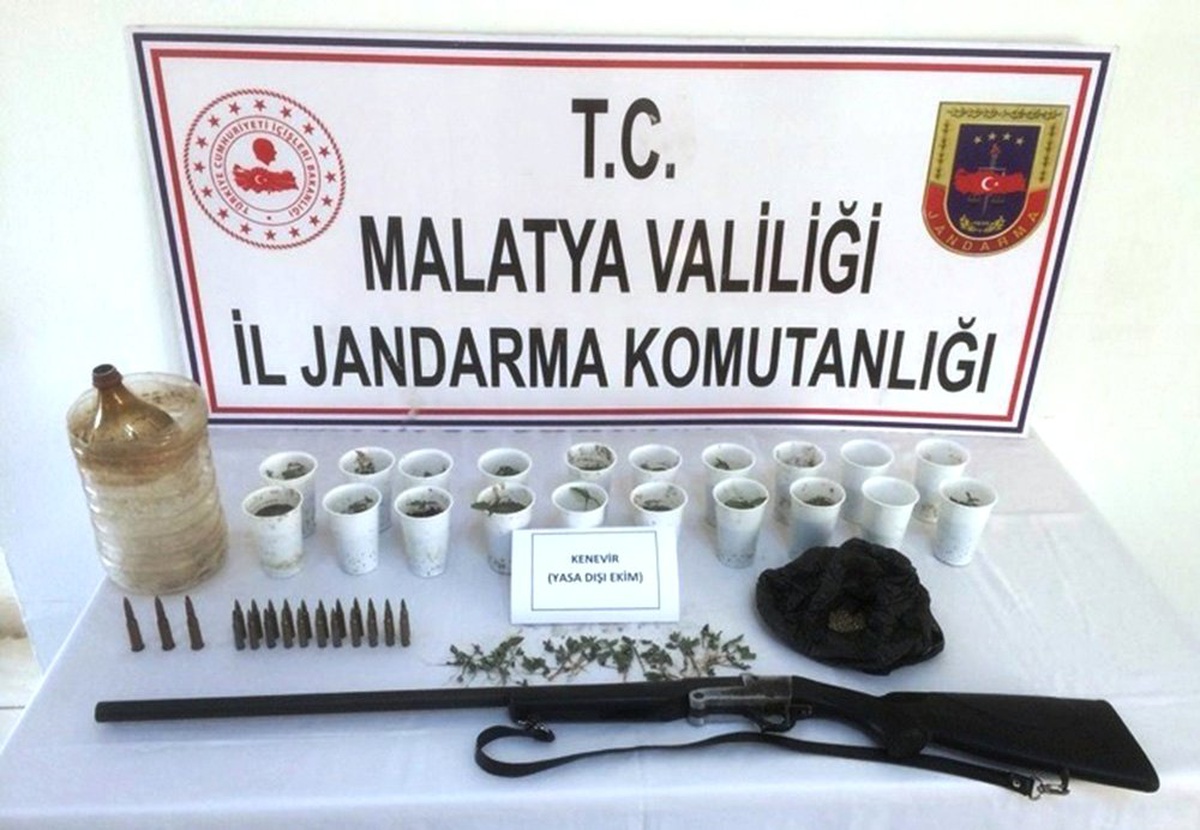 Pet Bardakta Yasa Dışı Kenevir Yetiştirdi