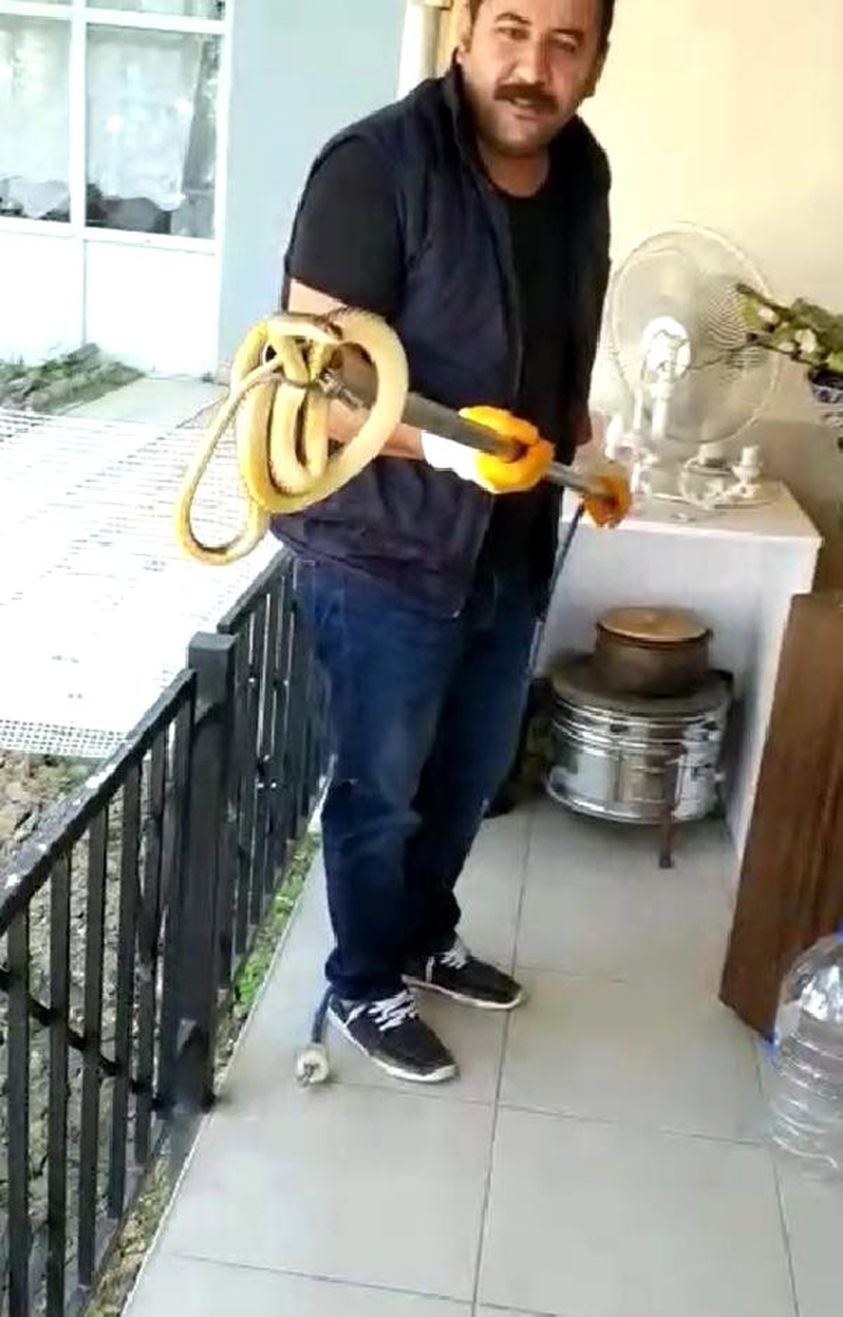 Balkona Gelen Yılan Korkuttu