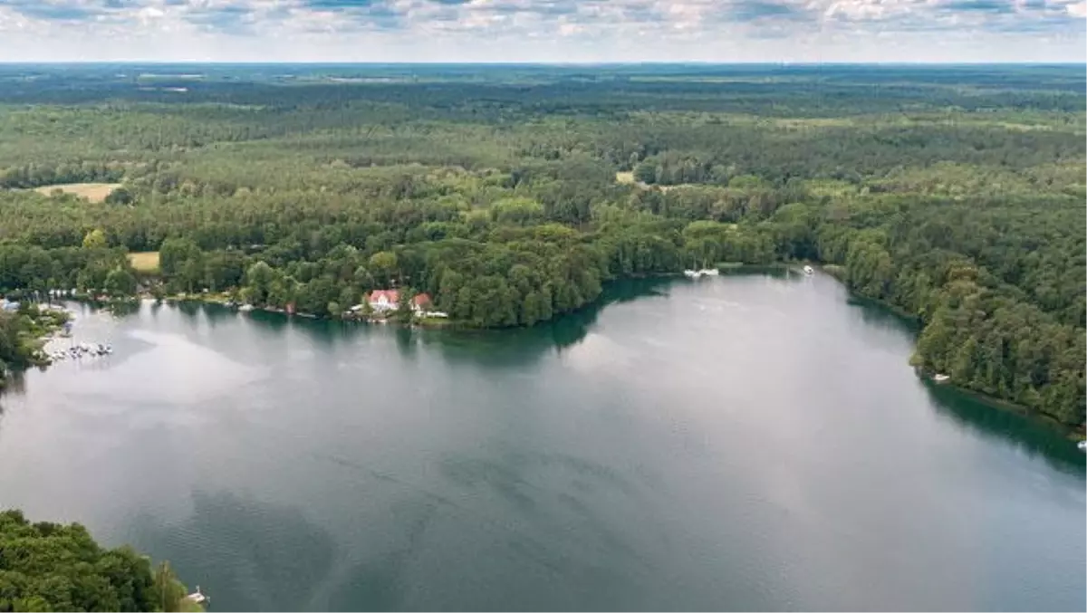 Büyülü Ormanların Sessiz Dili: Schorfheide