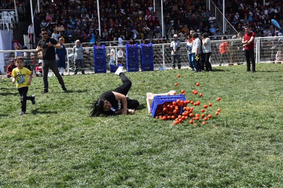 Kadınlar Domates Kasası Taşıdı, Halat Çekip Yarıştı