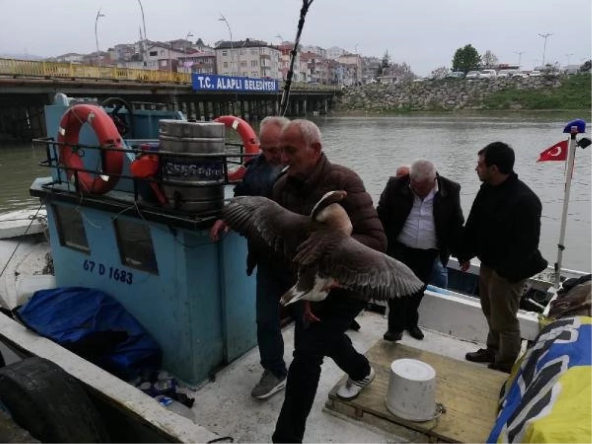 Köpeklerin Saldırısında Yaralanıp, Denize Düşen Kazı Balıkçılar Kurtardı