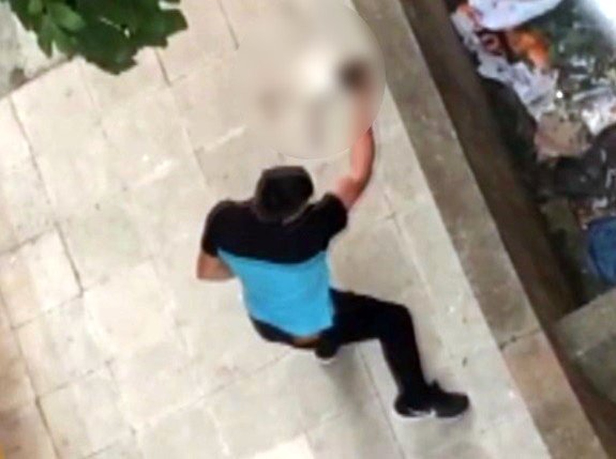 Köpeklerinin Saldırdığı Kediyi Çöp Gibi Bir Kenara Attılar