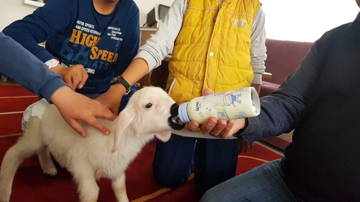 Kuzuyla Alışverişe Gidiyor, Çocuk Bezi Bağlıyor