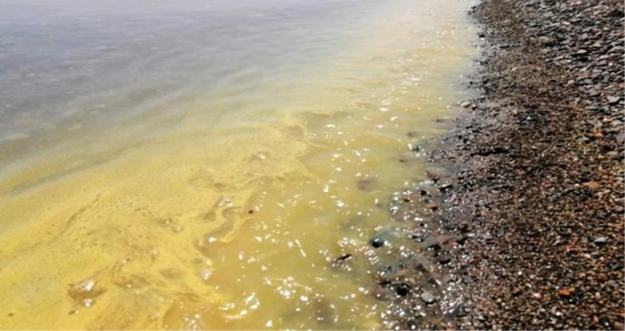 Çanakkale\'nin Ayvacık Sahilinde Denizin Rengi Değişti