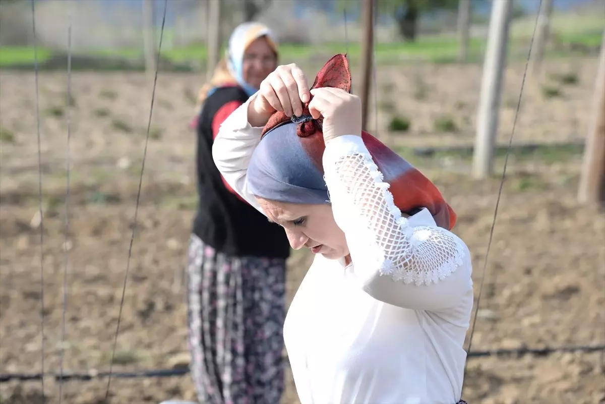 Belediyede Başkan Tarlada "İşçi"