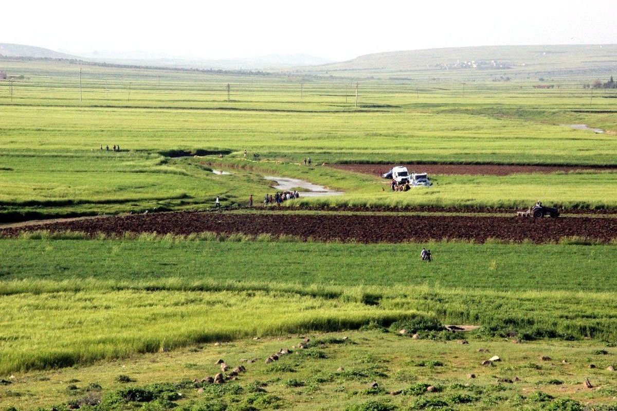 Serinlemek İçin Girdiği Derede Boğuldu