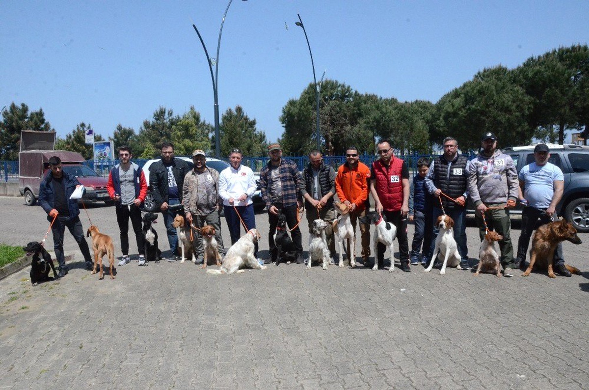 Uluslararası Köpek Güzellik Yarışması, Renkli Görüntülere Sahne Oldu